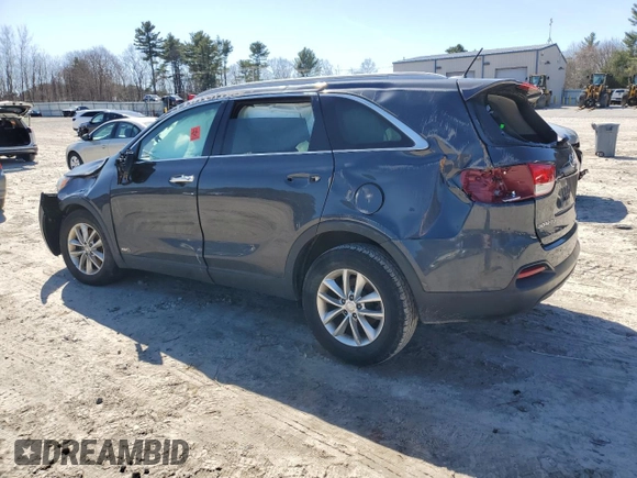 2017 Kia Sorento LX with VIN 5XYPGDA3XHG288867, listed as a Copart auction lot 49844105 with 0 mi miles and Salvage Title. Bid and sale history available at carsss.com. Image 2.