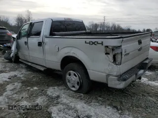 2013 Ford F-150 XL with VIN 1FTFW1EF5DFA22641, listed as a Copart auction lot 42034775 with 227,510 mi miles and Salvage Title. Bid and sale history available at carsss.com. Image 2.