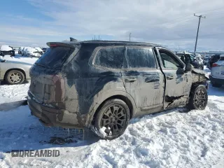 2021 Kia Telluride SX with VIN 5XYP5DHC4MG186986, listed as a Copart auction lot 47409435 with 10,887 mi miles and Salvage title. Bid and sale history available at DreamBid. Image 3.