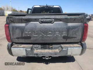 2023 Toyota Tundra SR5 with VIN 5TFLA5DA2PX119857, listed as a Copart auction lot 51942595 with Not provided miles and Salvage title. Bid and sale history available at DreamBid. Image 6.