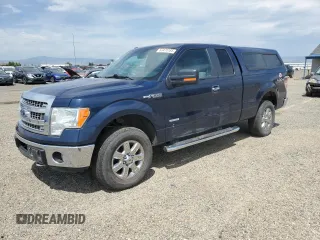 2013 Ford F-150 XL with VIN 1FTFX1ETXDKE12547, listed as a Copart auction lot 63470185 with 123,751 mi miles and Clean title. Bid and sale history available at DreamBid. Image 1.