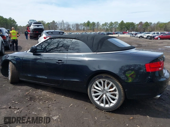 2013 Audi A5 Premium Plus with VIN WAULFAFH8DN015687, listed as a IAAI auction lot 41912597 with 114,218 mi miles. Bid and sale history available at carsss.com. Image 3.
