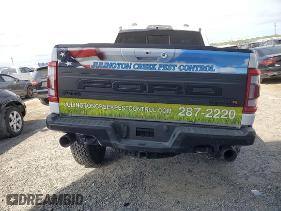 2023 Ford F-150 Raptor with VIN 1FTFW1RJ4PFC98974, listed as a Copart auction lot 47208565 with Not Provided miles and Salvage Title. Bid and sale history available at DreamBid. Image 6.