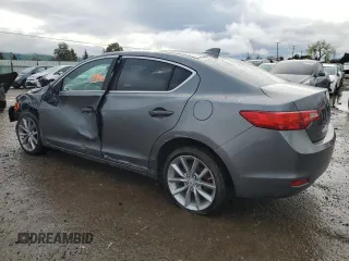 2013 Acura ILX with VIN 19VDE1F39DE020862, listed as a Copart auction lot 49168415 with 172,941 mi miles and Salvage Title. Bid and sale history available at carsss.com. Image 2.