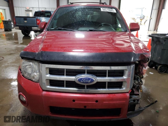 2011 Ford Escape Limited с VIN 1FMCU9EG0BKC22326, выставлен на аукционе Copart как лот 56519085 с пробегом 122 825 миль миль и Списание • Salvage title. История ставок и продаж доступна на DreamBid. Изображение 5.