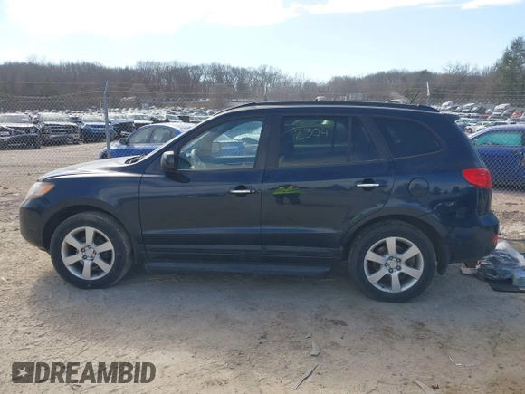 2009 Hyundai Santa Fe SE with VIN 5NMSH73E69H264547, listed as a IAAI auction lot 41812304 with 224,088 mi miles and . Bid and sale history available at DreamBid. Image 14.