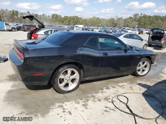 2010 Dodge Challenger R/T with VIN 2B3CJ5DT6AH314925, listed as a Copart auction lot 43913135 with 133,163 mi miles and Salvage Title. Bid and sale history available at carsss.com. Image 3.