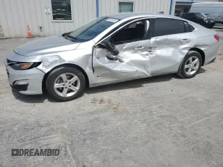 2019 Chevrolet Malibu LS z VIN 1G1ZB5ST1KF226319, wystawiony jako Copart lot #53034445 z przebiegiem 123 456 mil mil oraz Szkody całkowita. Historia ofert i sprzedaży dostępna na DreamBid. Obrazek 1.
