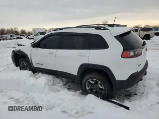 2019 Jeep Cherokee Trailhawk Elite with VIN 1C4PJMBX3KD196654, listed as a Copart auction lot 46592565 with 122,225 mi miles and Salvage Title. Bid and sale history available at carsss.com. Image 2.