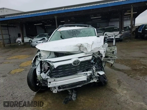 2019 Toyota RAV4 LE with VIN 2T3H1RFV8KC011352, listed as a Copart auction lot 48973505 with 0 mi miles and Salvage Title. Bid and sale history available at carsss.com. Image 12.