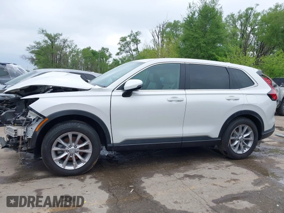 2025 Honda CR-V EX-L with VIN 2HKRS4H78SH407208, listed as a IAAI auction lot 41023125 with 5,817 mi miles and . Bid and sale history available at DreamBid. Image 14.