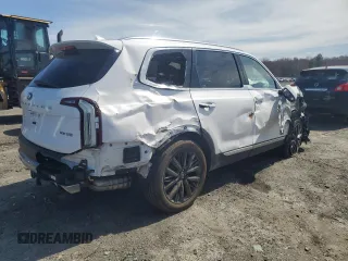 2021 Kia Telluride SX with VIN 5XYP5DHC7MG142335, listed as a Copart auction lot 52607875 with 75,420 mi miles and Salvage Title. Bid and sale history available at carsss.com. Image 3.