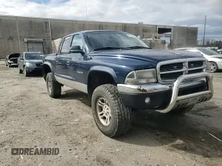 2002 Dodge Dakota SLT with VIN 1B7HG48N32S514521, listed as a Copart auction lot 48030635 with 321,011 mi miles and Salvage Title. Bid and sale history available at carsss.com. Image 11.