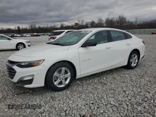 2024 Chevrolet Malibu LS with VIN 1G1ZC5ST9RF210134, listed as a Copart auction lot 79671434 with Not Provided miles and Salvage Title. Bid and sale history available at DreamBid. Image 1.