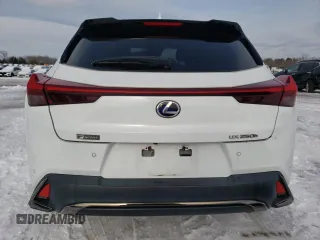 2020 Lexus UX 250h F Sport with VIN JTHR9JBH7L2032974, listed as a Copart auction lot 87505865 with 51,461 mi miles and Salvage title. Bid and sale history available at DreamBid. Image 6.