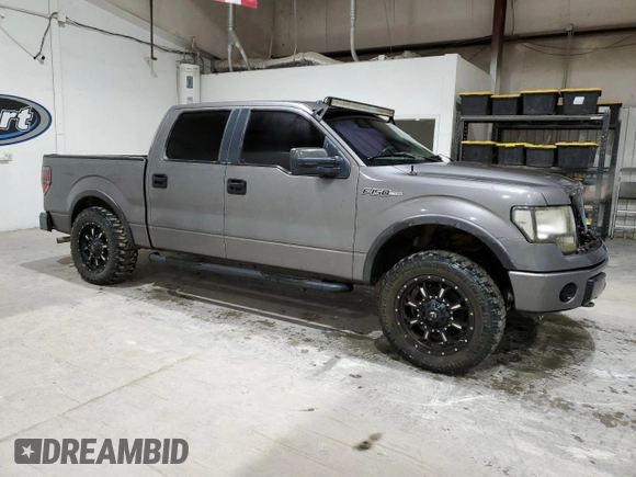 2010 Ford F-150 XL with VIN 1FTFW1EV5AFA74662, listed as a Copart auction lot 48384295 with 234,570 mi miles and Clean Title. Bid and sale history available at carsss.com. Image 4.