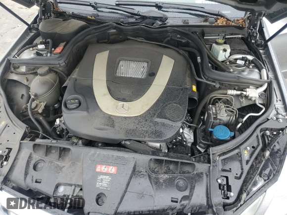 2010 Mercedes-Benz E-Class E 550 with VIN WDDKJ7CB5AF046696, listed as a Copart auction lot 49076015 with 0 mi miles and Salvage Title. Bid and sale history available at carsss.com. Image 11.