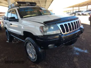 1999 Jeep Grand Cherokee Laredo с VIN 1J4GW58N2XC770066, выставлен на аукционе IAAI как лот 42030866 с пробегом 156 284 миль миль и . История ставок и продаж доступна на DreamBid. Изображение 1.