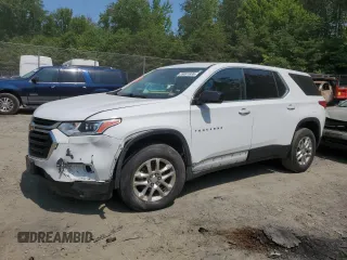 2020 Chevrolet Traverse LS with VIN 1GNEVFKWXLJ270645, listed as a Copart auction lot 59691935 with Not provided miles and Salvage title. Bid and sale history available at DreamBid. Image 1.