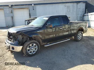 2013 Ford F-150 XL with VIN 1FTFX1EF9DKD05578, listed as a Copart auction lot 47742275 with 319,441 mi miles and Clean Title. Bid and sale history available at carsss.com. Image 1.