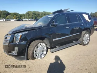 2019 Cadillac Escalade Platinum with VIN 1GYS4DKJ0KR257811, listed as a Copart auction lot 75621904 with Not provided miles and Salvage title. Bid and sale history available at DreamBid. Image 1.