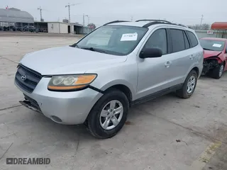 2009 Hyundai Santa Fe GLS with VIN 5NMSG13D49H256499, listed as a IAAI auction lot 41541870 with 265,610 mi miles. Bid and sale history available at carsss.com. Image 17.