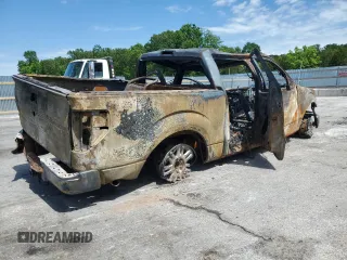 2009 Ford F-150 XL with VIN 1FTRW14869FB28507, listed as a Copart auction lot 57988205 with Not provided miles and Non repairable. Bid and sale history available at DreamBid. Image 3.