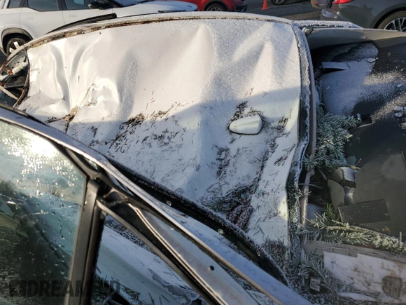 2019 Mazda 3 Preferred with VIN 3MZBPADL4KM105684, listed as a Copart auction lot 82710164 with Not Provided miles and Salvage Title. Bid and sale history available at DreamBid. Image 10.