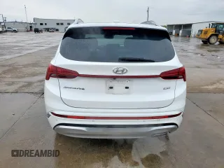2022 Hyundai Santa Fe Calligraphy with VIN 5NMS54AL1NH466537, listed as a Copart auction lot 49398865 with 20,016 mi miles and Salvage Title. Bid and sale history available at carsss.com. Image 6.