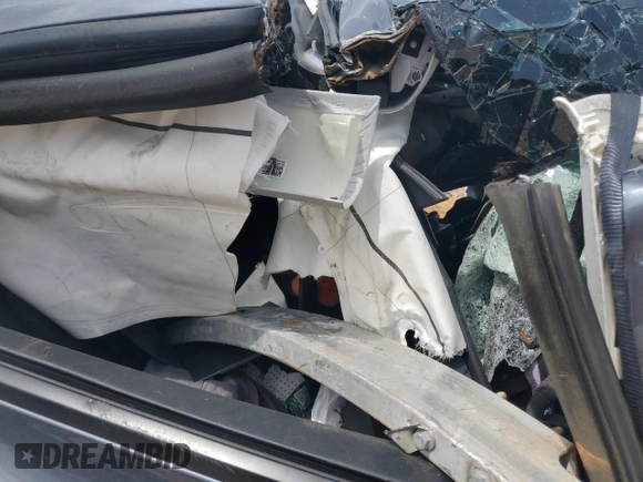 2023 Tesla Model 3 with VIN 5YJ3E1EA7PF627103, listed as a Copart auction lot 55493425 with Not provided miles and Non repairable. Bid and sale history available at DreamBid. Image 10.