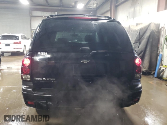 2008 Chevrolet TrailBlazer 1LT with VIN 1GNDT13S982106305, listed as a Copart auction lot 42049295 with 153,592 mi miles and Salvage Title. Bid and sale history available at DreamBid. Image 6.