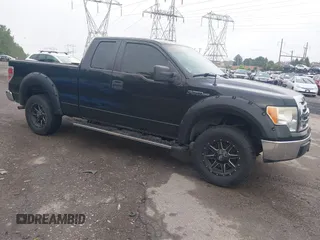 2010 Ford F-150 XL with VIN 1FTEX1C80AFA52185, listed as a IAAI auction lot 42526982 with 223,564 mi miles and . Bid and sale history available at DreamBid. Image 1.