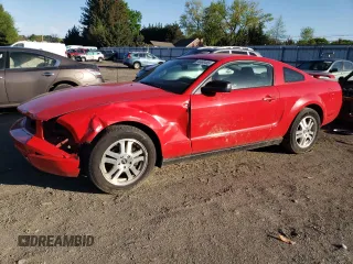 2007 Ford Mustang Deluxe with VIN 1ZVHT80N175203073, listed as a Copart auction lot 54480465 with 140,275 mi miles and Salvage Title. Bid and sale history available at carsss.com. Image 1.