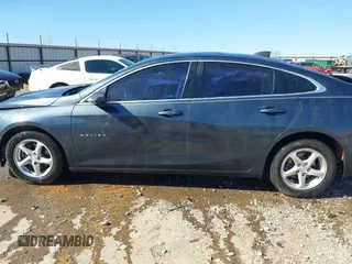 2019 Chevrolet Malibu LS with VIN 1G1ZB5ST1KF142016, listed as a IAAI auction lot 41770598 with 117,175 mi miles and . Bid and sale history available at DreamBid. Image 14.