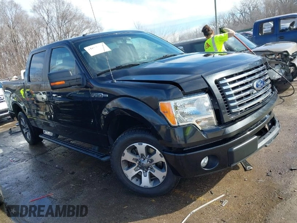 2012 Ford F-150 XL with VIN 1FTEW1CM6CFB99548, listed as a IAAI auction lot 41693501 with 129,728 mi miles. Bid and sale history available at carsss.com. Image 1.