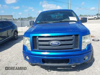 2010 Ford F-150 XL with VIN 1FTEX1CW7AFB06225, listed as a IAAI auction lot 42556807 with 311,511 mi miles and . Bid and sale history available at DreamBid. Image 12.