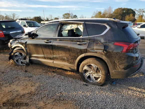 2023 Hyundai Santa Fe SEL with VIN 5NMS2DAJ1PH541246, listed as a Copart auction lot 87443114 with 0 mi miles and Salvage Title. Bid and sale history available at carsss.com. Image 2.