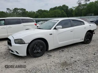 2011 Dodge Charger Police with VIN 2B3CL1CT9BH556615, listed as a Copart auction lot 54363215 with 265,606 mi miles and Salvage title. Bid and sale history available at DreamBid. Image 1.