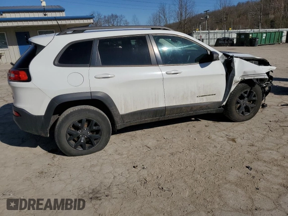2016 Jeep Cherokee Trailhawk с VIN 1C4PJMBB2GW176413, выставлен на аукционе Copart как лот 48121595 с пробегом 120 715 миль миль и Списание • Salvage title. История ставок и продаж доступна на DreamBid. Изображение 3.