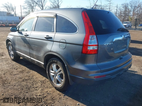 2010 Honda CR-V EX with VIN 5J6RE4H52AL039991, listed as a IAAI auction lot 41828104 with 131,013 mi miles. Bid and sale history available at carsss.com. Image 3.