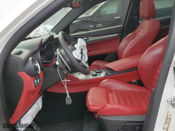 2019 Alfa Romeo Stelvio Ti Sport with VIN ZASPAKBN8K7C49339, listed as a Copart auction lot 49396345 with 0 mi miles and Salvage Title. Bid and sale history available at carsss.com. Image 7.