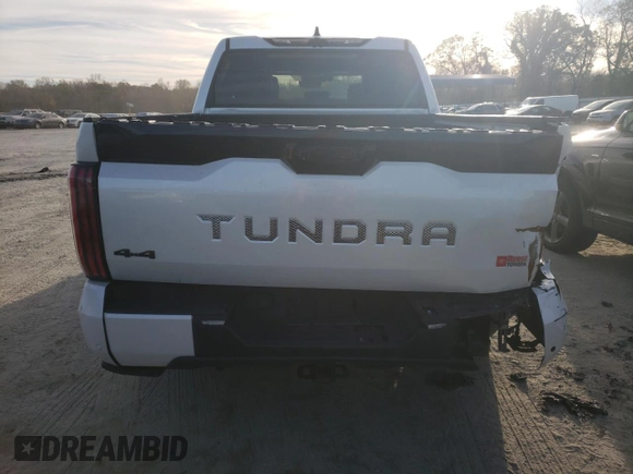 2022 Toyota Tundra Platinum with VIN 5TFNA5DB8NX014092, listed as a Copart auction lot 80914624 with 46,237 mi miles and Salvage title. Bid and sale history available at DreamBid. Image 6.