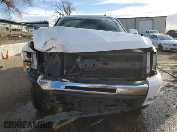 2010 Chevrolet Silverado 1500 LT with VIN 1GCSCSE03AZ230388, listed as a Copart auction lot 43829685 with 193,166 mi miles and Salvage Title. Bid and sale history available at DreamBid. Image 5.