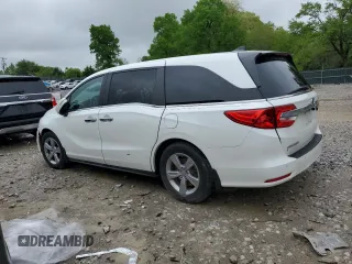 2020 Honda Odyssey EX-L with VIN 5FNRL6H76LB064052, listed as a Copart auction lot 53358455 with 58,167 mi miles and Salvage Title. Bid and sale history available at carsss.com. Image 2.
