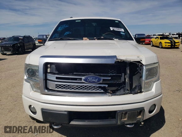 2014 Ford F-150 XL with VIN 1FTFW1ET6EFA48088, listed as a Copart auction lot 49339825 with 177,016 mi miles and Salvage Title. Bid and sale history available at carsss.com. Image 5.