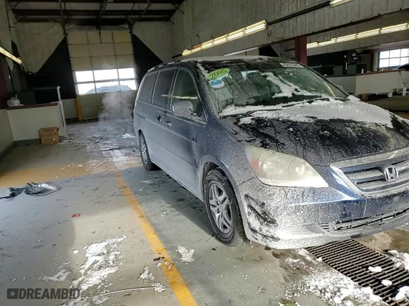2005 Honda Odyssey EX-L with VIN 5FNRL38775B067771, listed as a Copart auction lot 45670385 with 117,220 mi miles and Salvage Title. Bid and sale history available at carsss.com. Image 12.