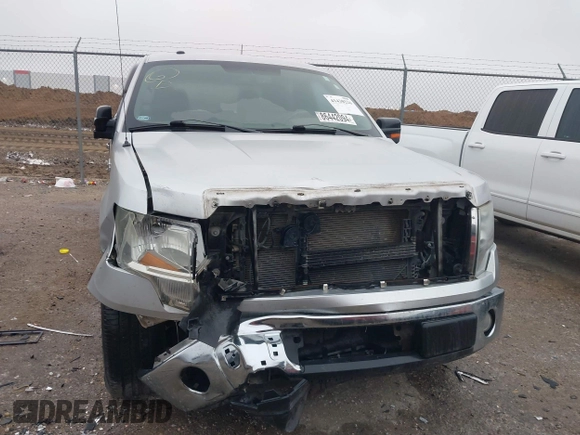 2010 Ford F-150 XL with VIN 1FTEW1C84AKE48789, listed as a IAAI auction lot 41430226 with 159,183 mi miles. Bid and sale history available at carsss.com. Image 12.
