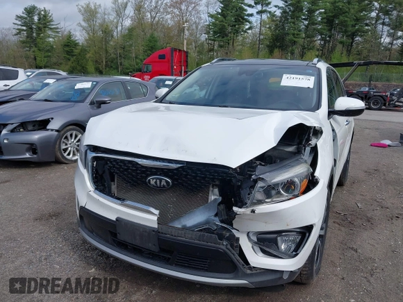 2017 Kia Sorento EX with VIN 5XYPHDA56HG229930, listed as a IAAI auction lot 42191578 with 161,417 mi miles and . Bid and sale history available at DreamBid. Image 6.