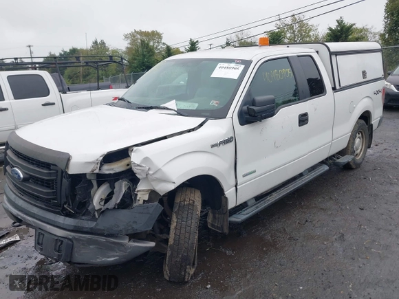 2013 Ford F-150 XL with VIN 1FTFX1ET8DKE95332, listed as a IAAI auction lot 40480905 with 243,758 mi miles and . Bid and sale history available at DreamBid. Image 17.