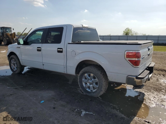 2013 Ford F-150 XL with VIN 1FTFW1CFXDKE20745, listed as a Copart auction lot 49676585 with 116,497 mi miles and Salvage Title. Bid and sale history available at carsss.com. Image 2.